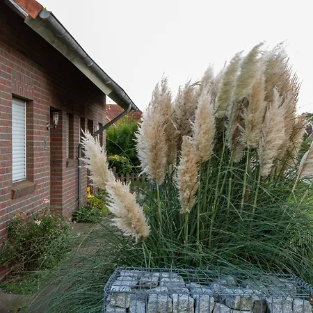 Deichblick By Interhome בית נופש