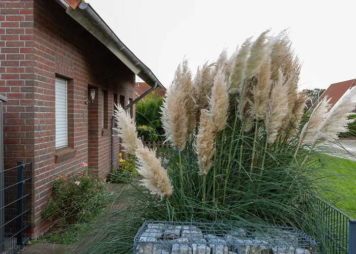 Deichblick By Interhome Tatil Evi